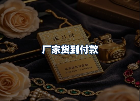 专业团队办公环境